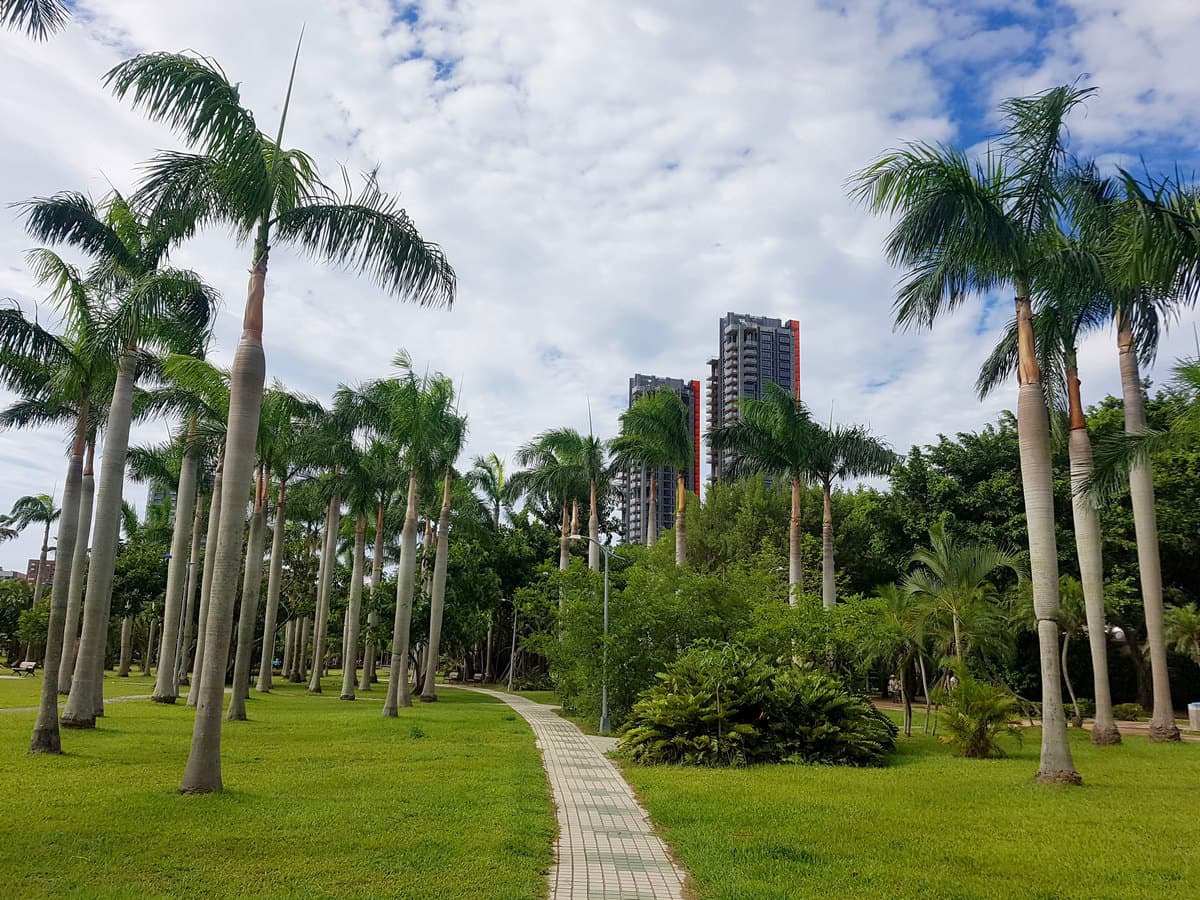 Тайвань. Лесной парк Daan Forest Park